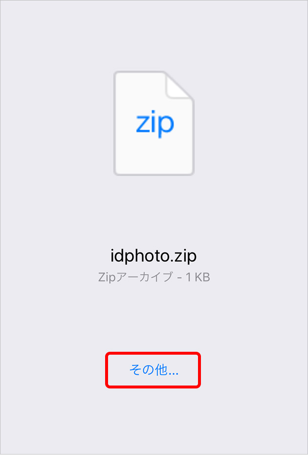 iPhone Safari画面